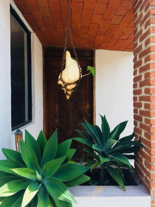 ג'יוטפאק Finca Taino. Hermosa Casa Con Alberca מראה חיצוני תמונה